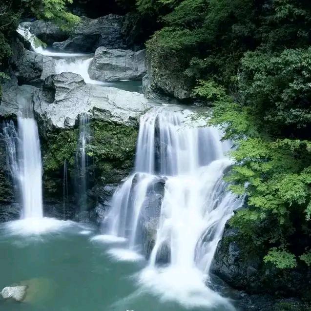 鑫海131