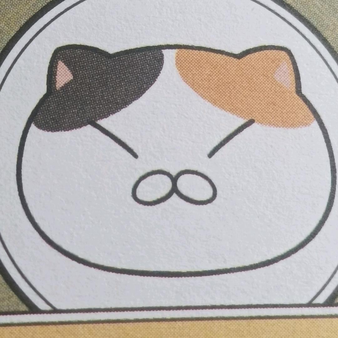 花卷😺