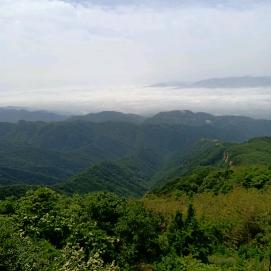 @豫R老乡