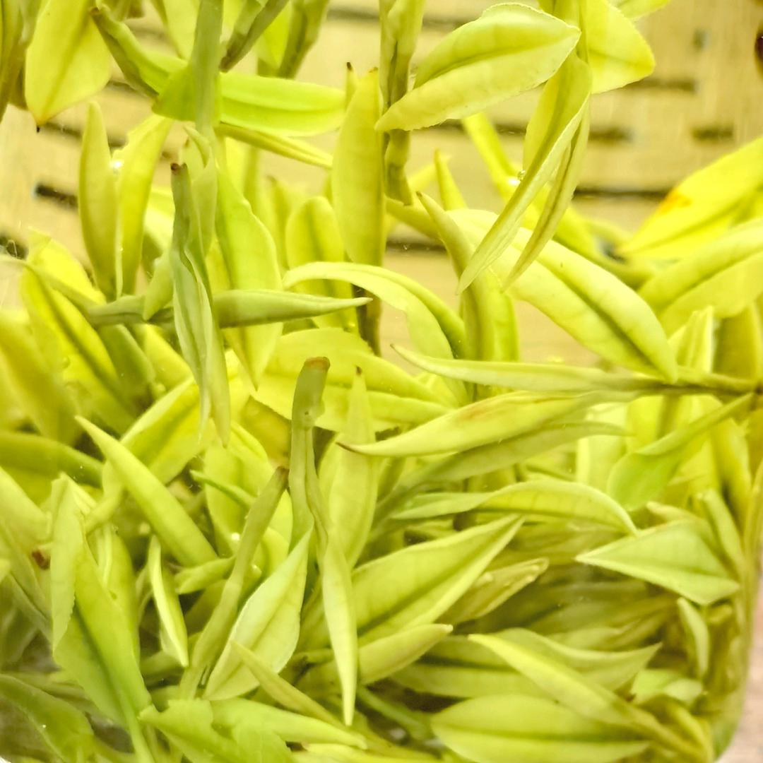 天然香茶叶