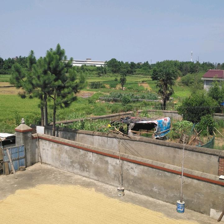 生活