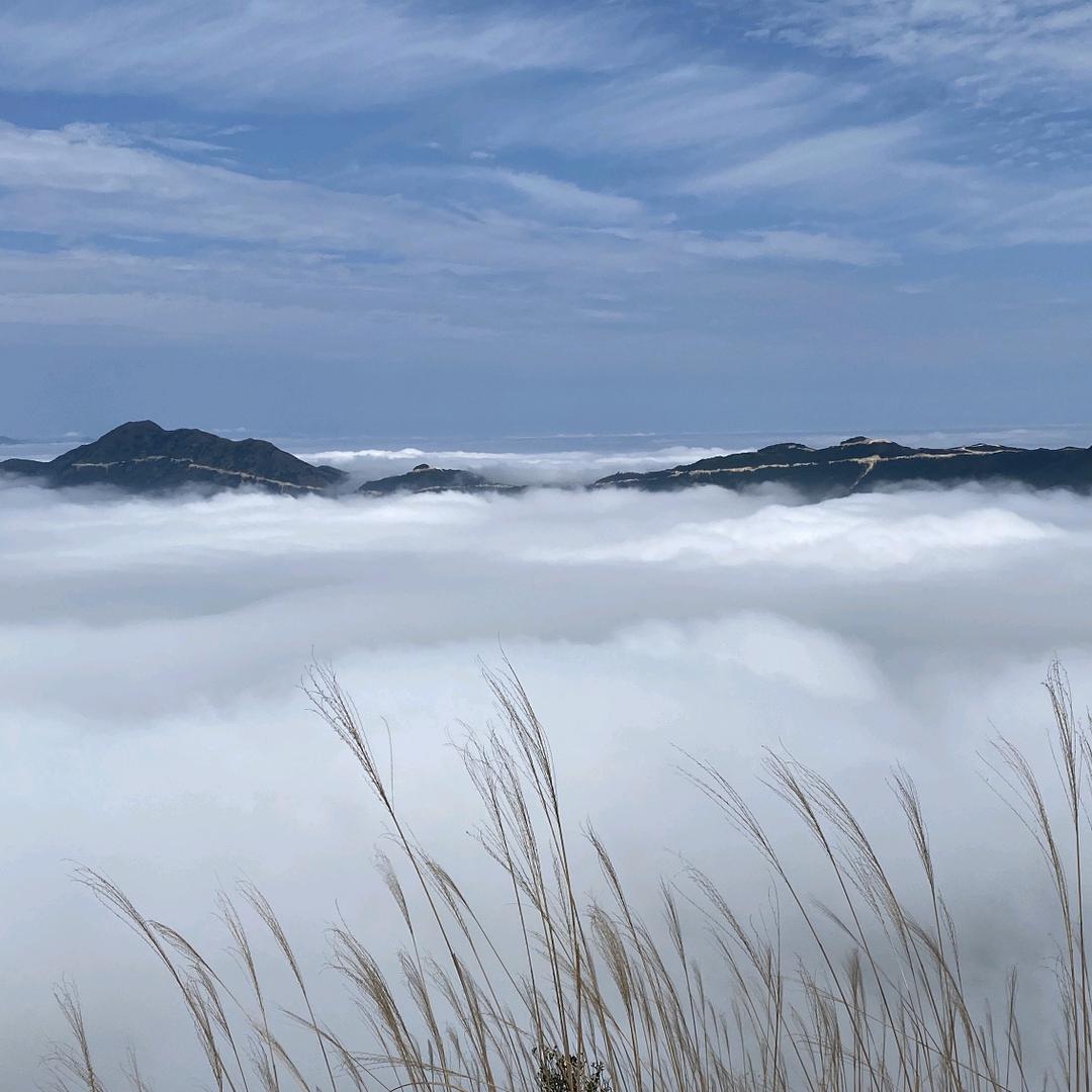 爱我所爱