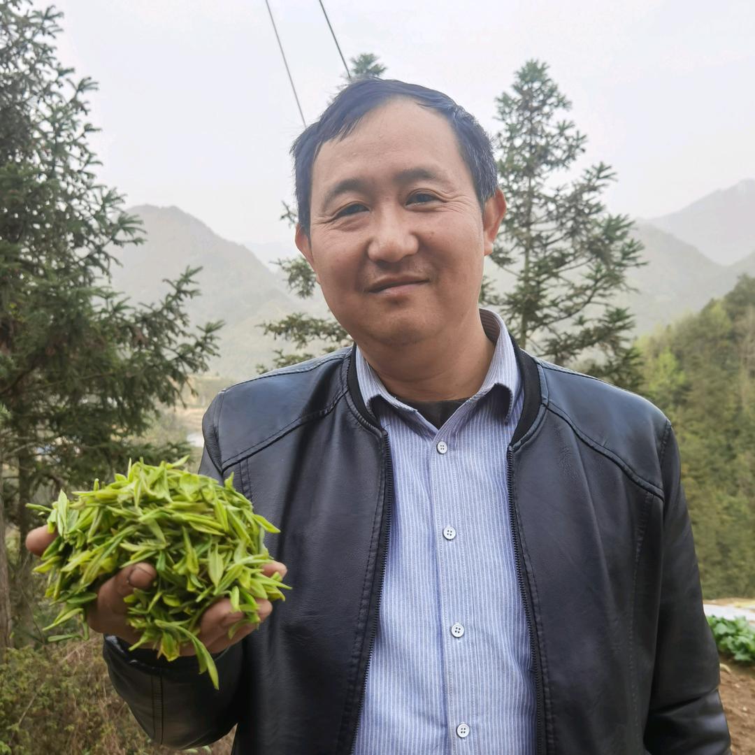 意味长茶叶专业合作社