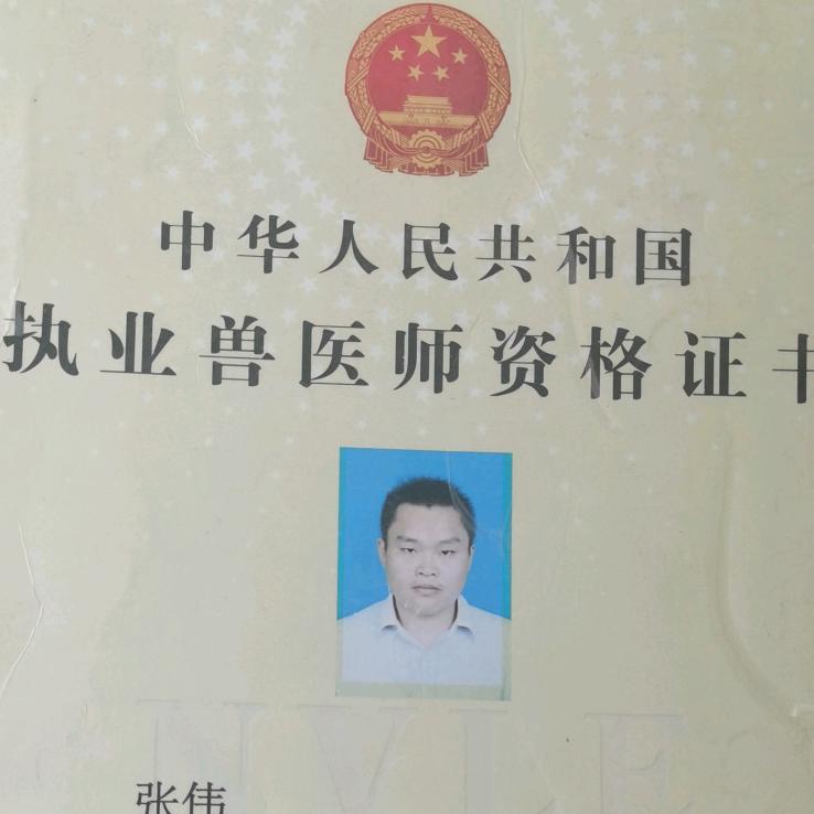 🐥兽医张伟高产蛋鸭技术课堂