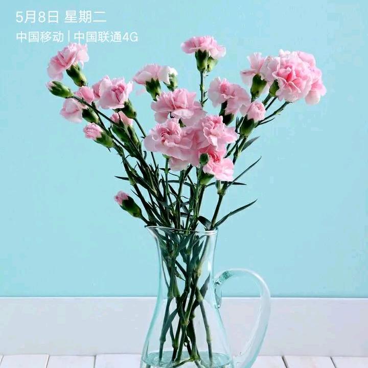 🥀ঞ顺理陈张₅₂₀💞࿐