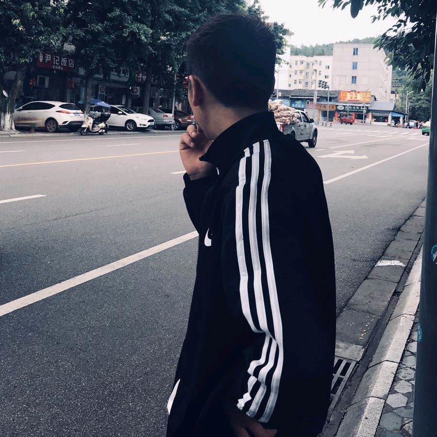 鲨鱼 ࿐