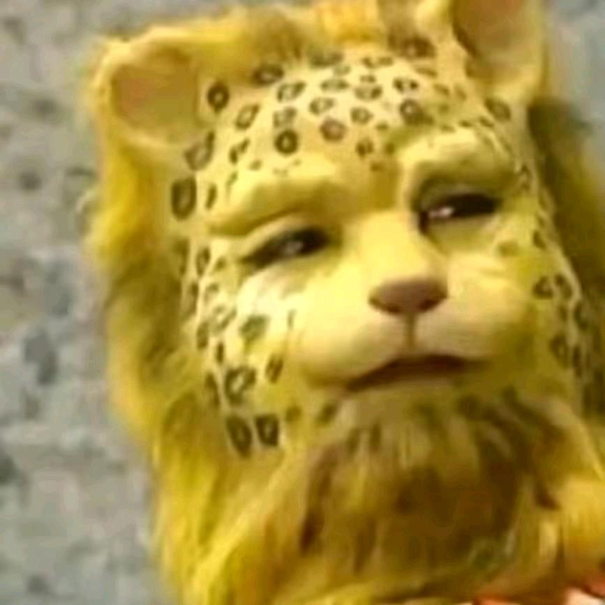 大脸宝贝