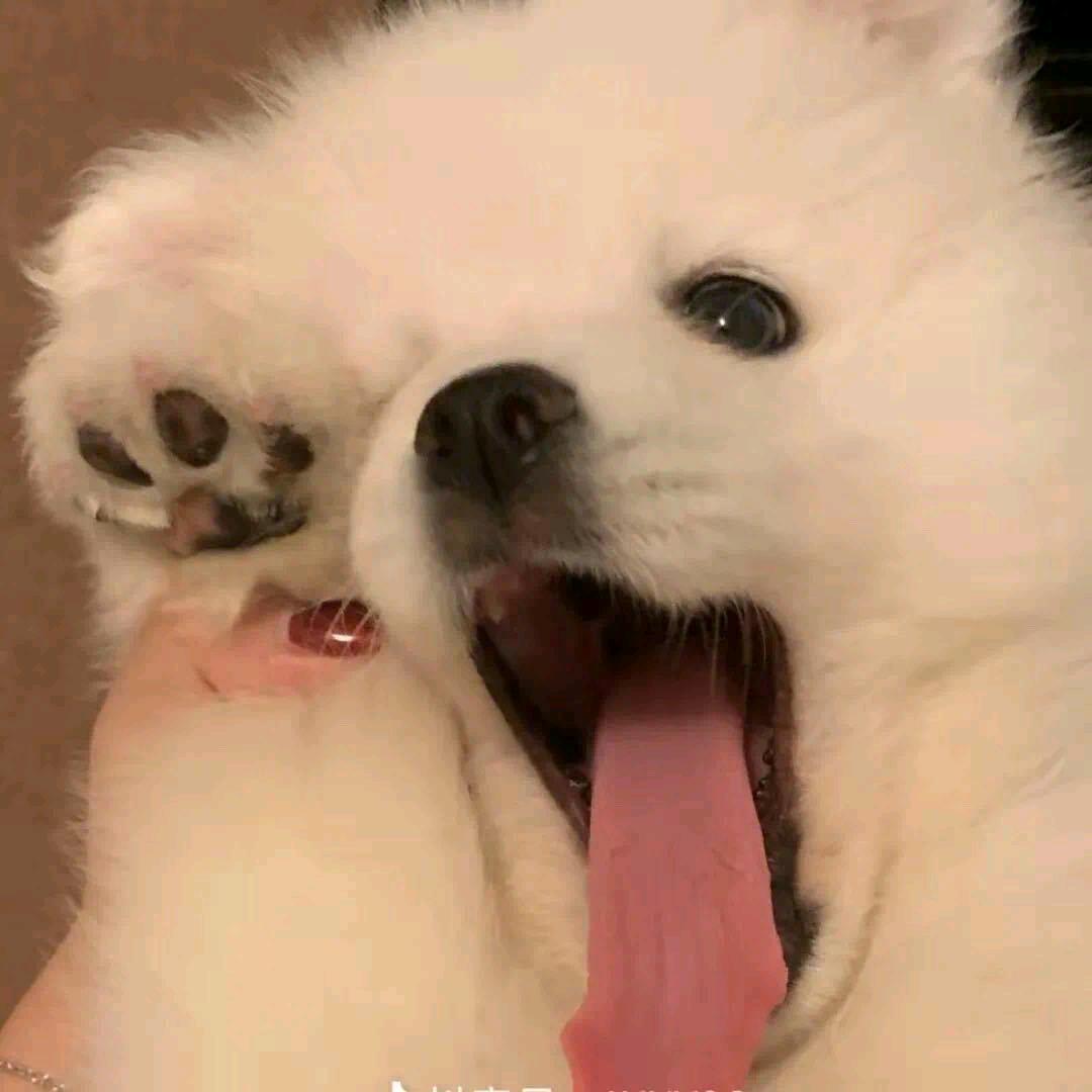 沐安