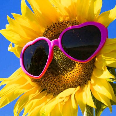 🍀🌸酷妹🍎🌻