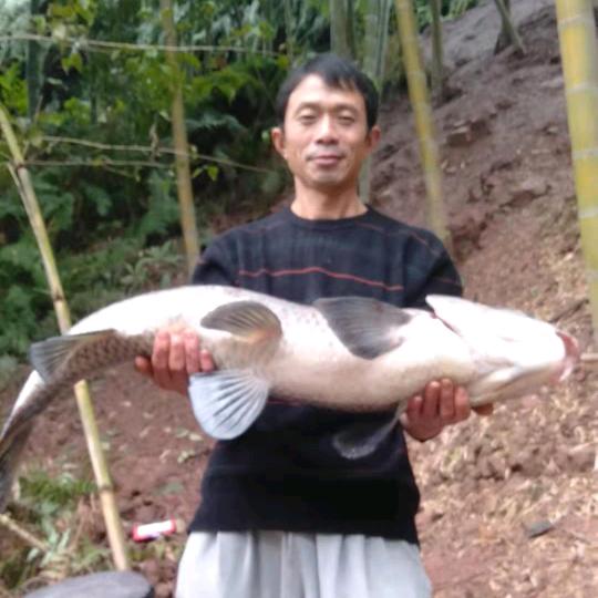 游山玩水钓鱼去