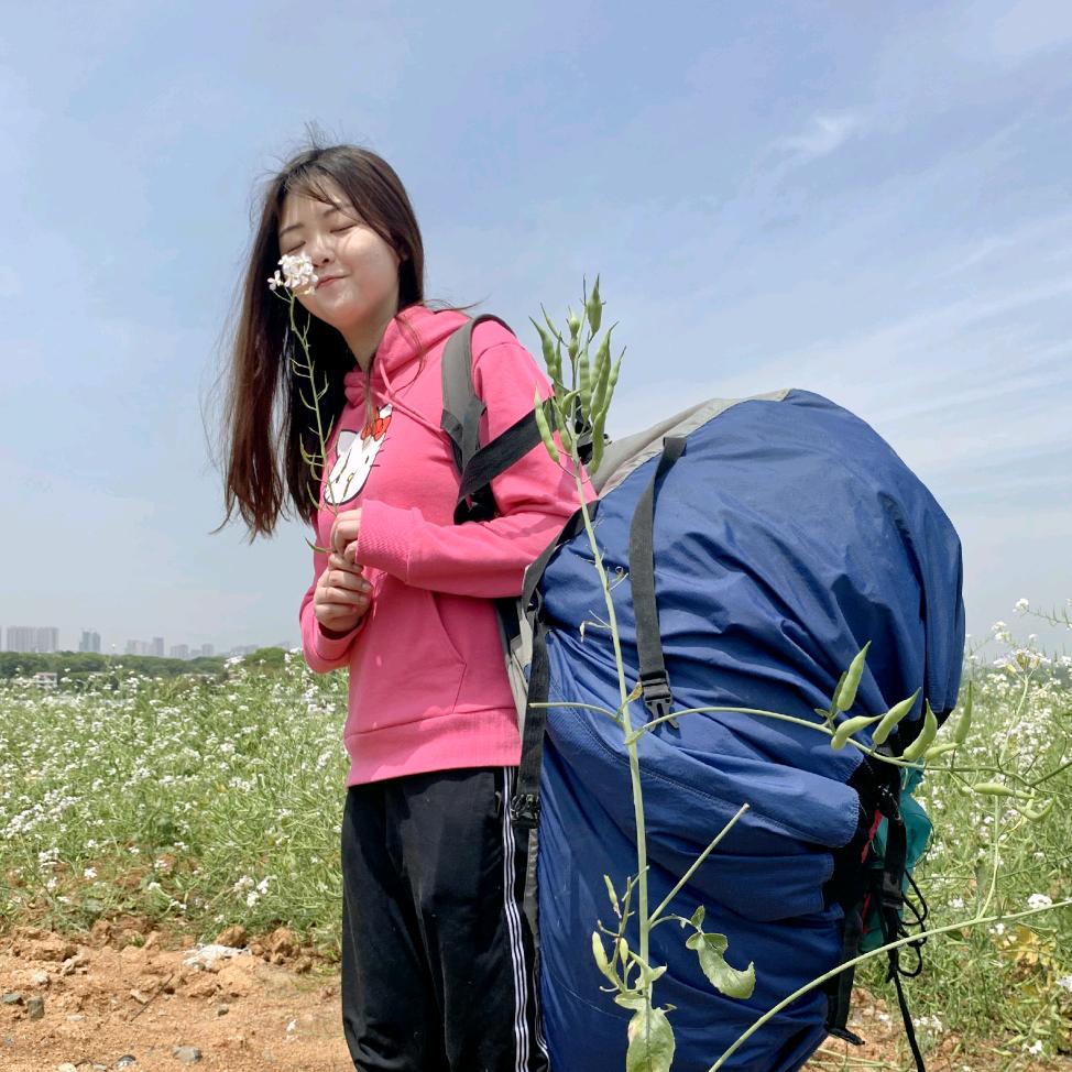 滑翔伞佩奇