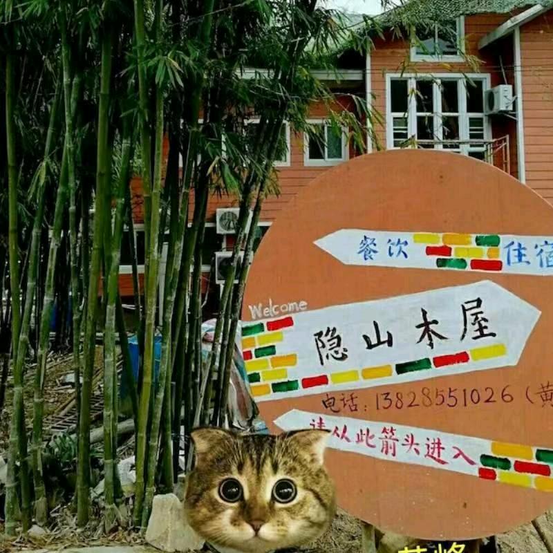 清远隐山木屋（歺饮民宿）