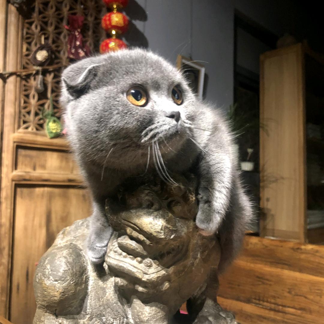 其实美好生活触手可得