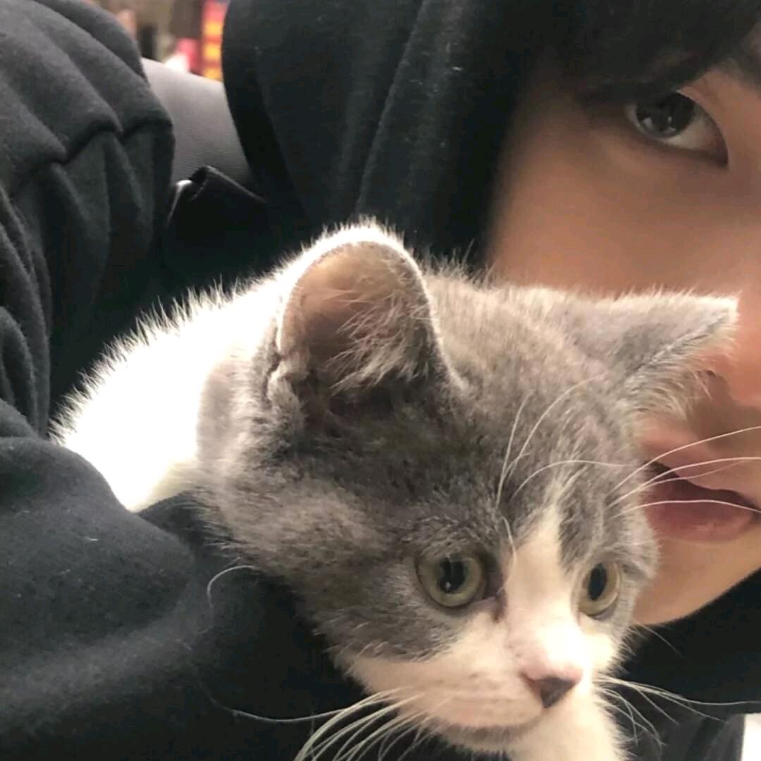 用户Jay