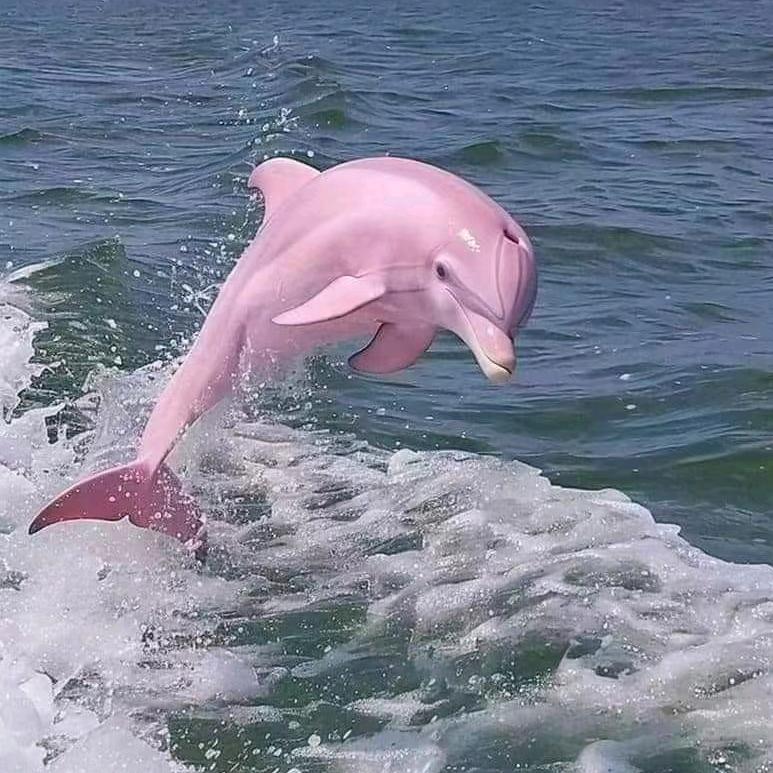飘洋过海