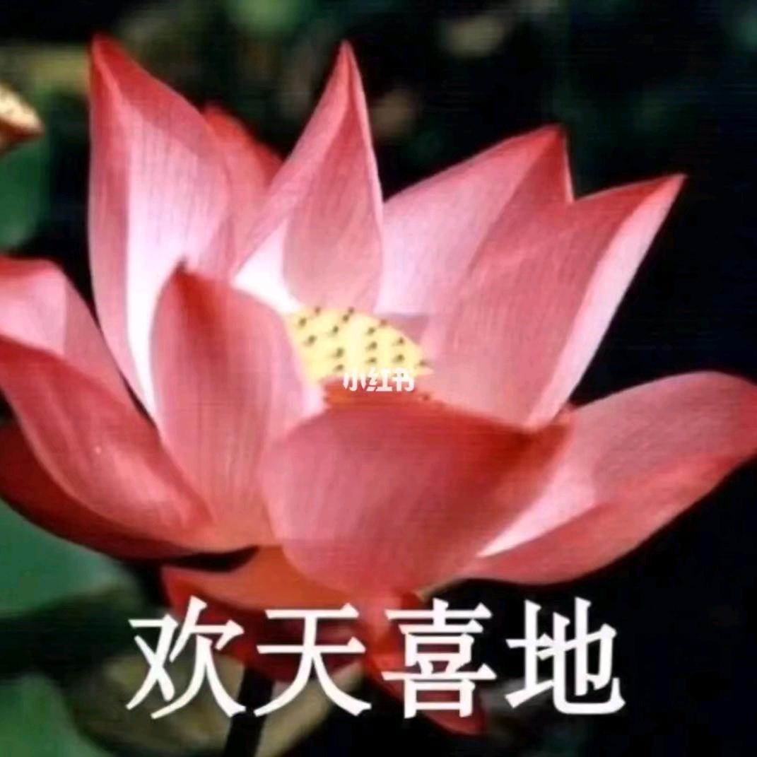 清秀云