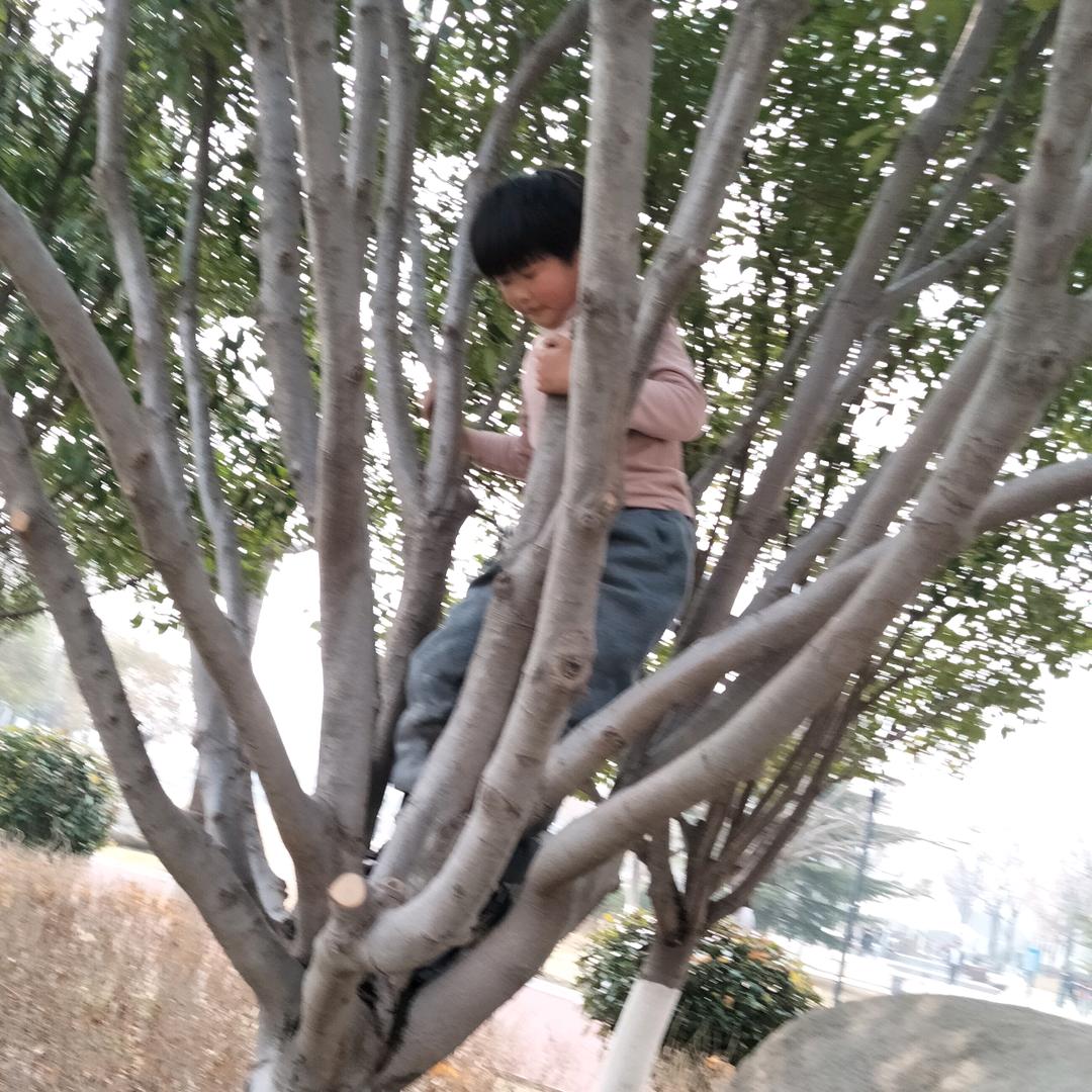 萝莉宝贝儿
