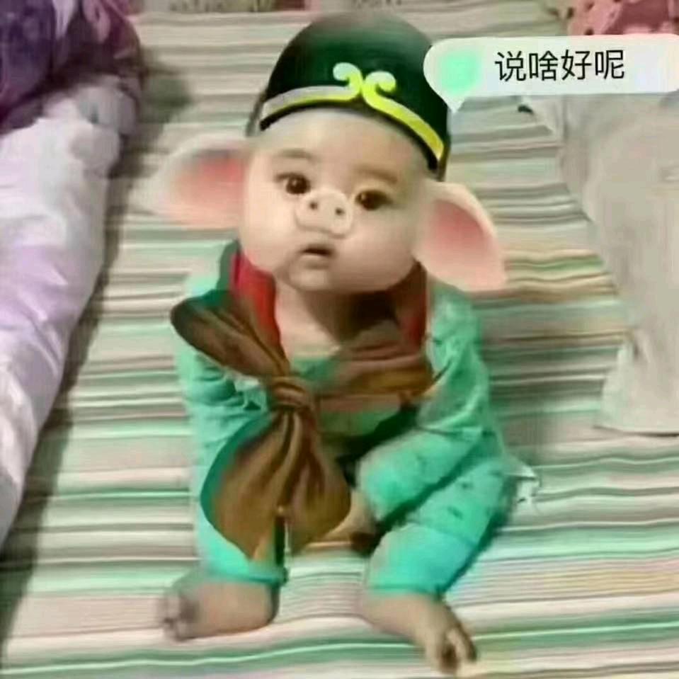 斗，斗，🐖🐖🐖