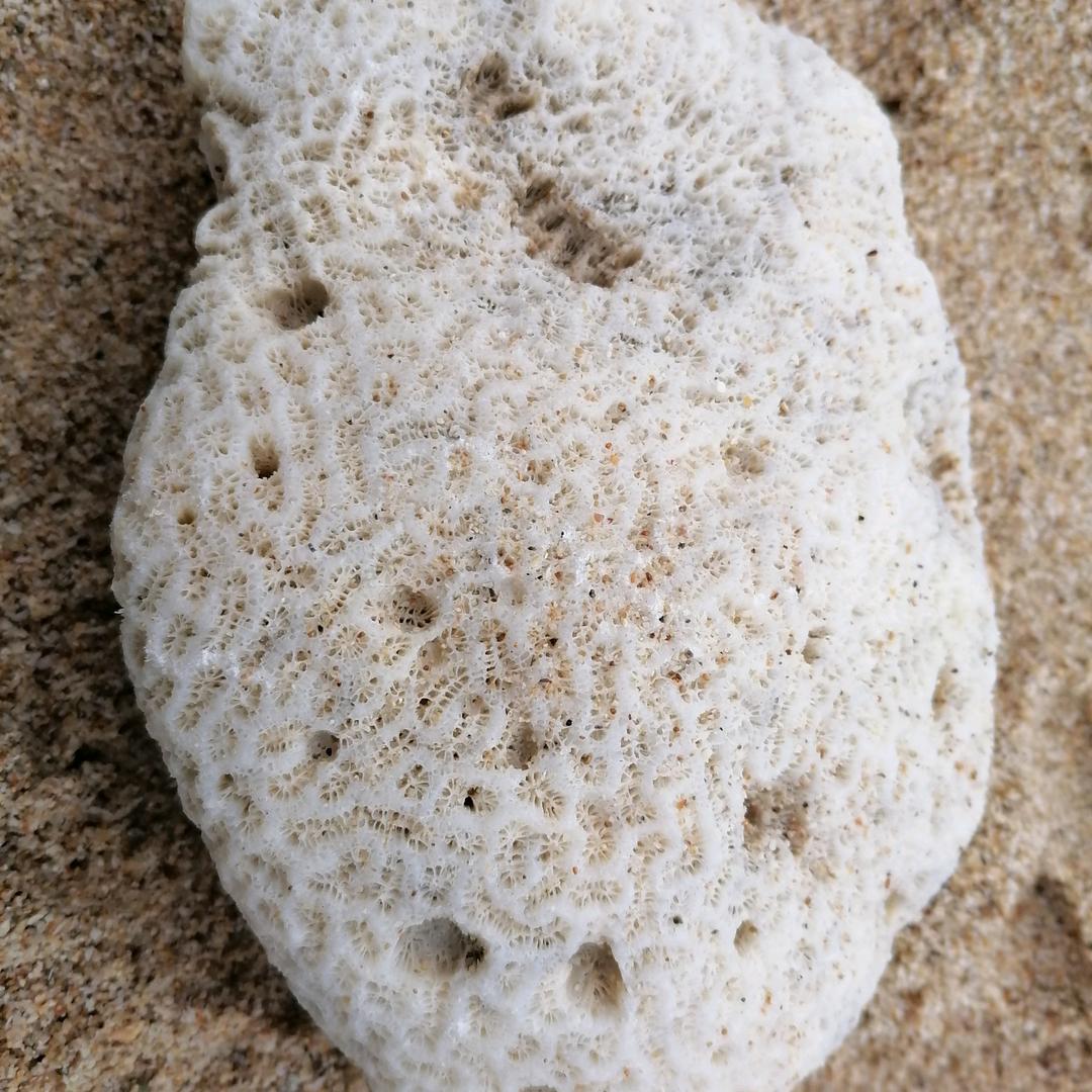 安河桥？