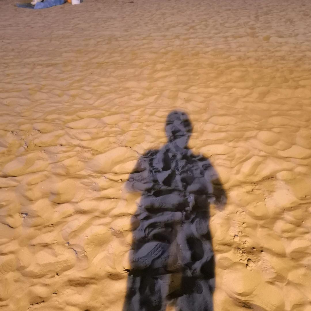 沙滩背影