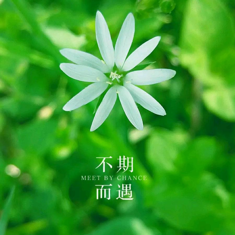 候鸟365-_-||
