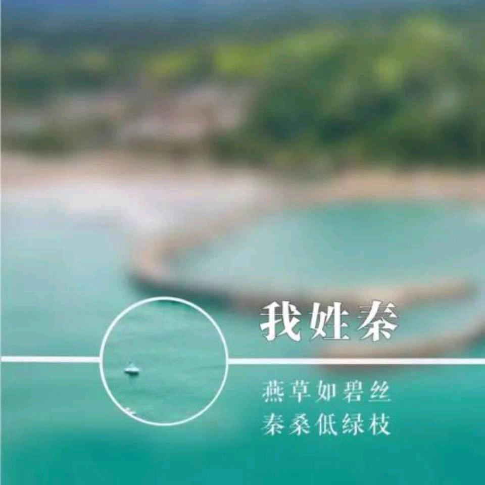 大秦盛世