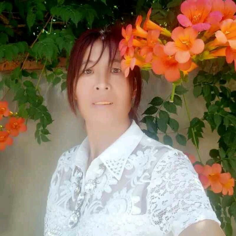 东南西北风