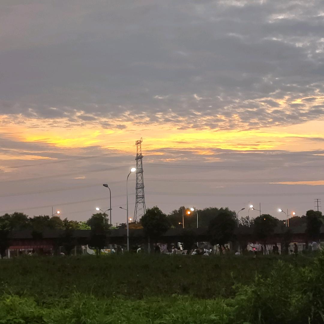 我叫油菜花