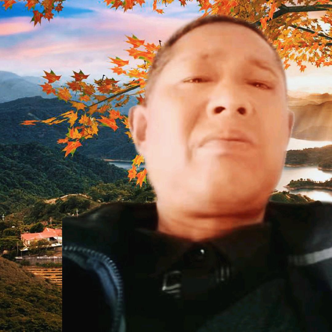 陆地创艺