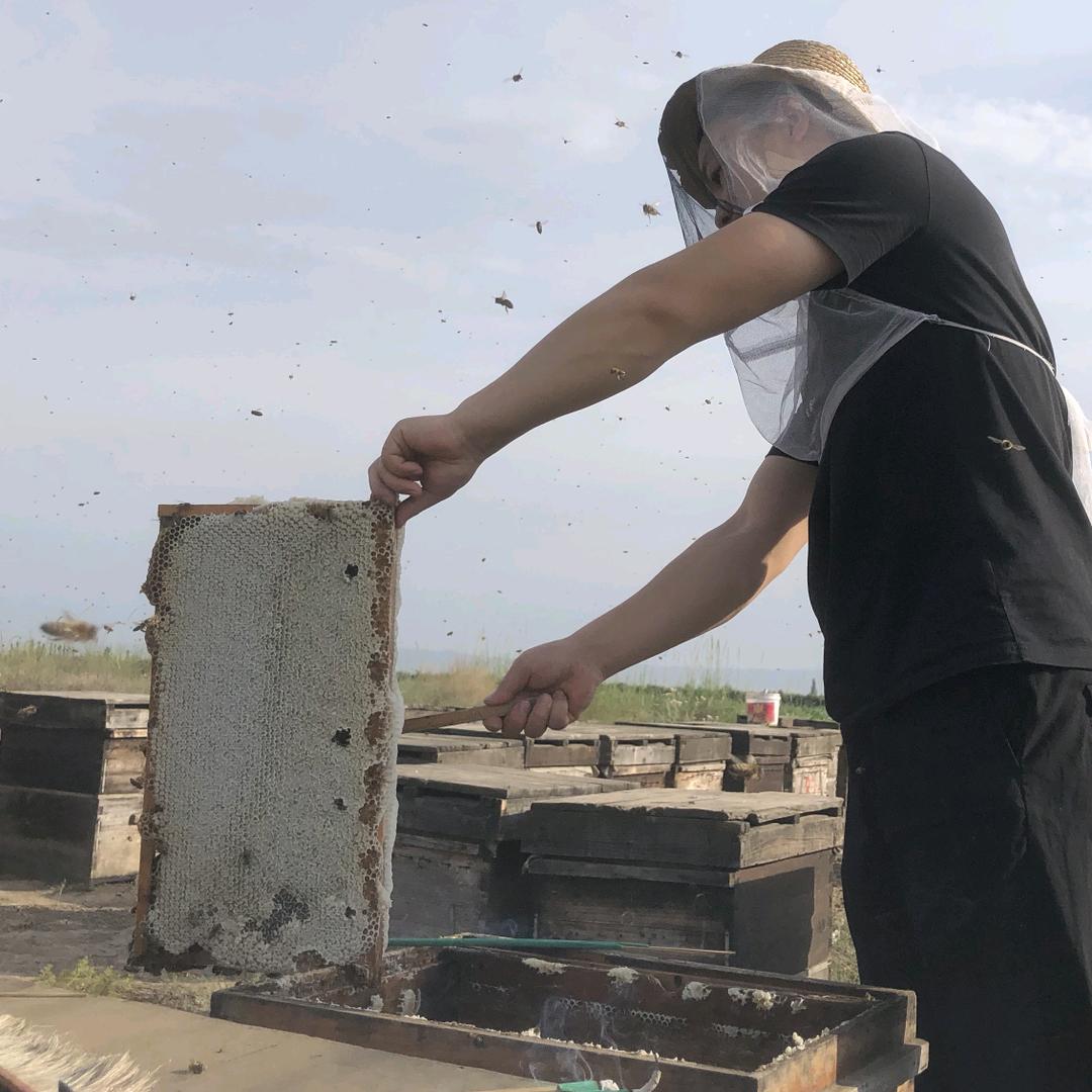 任林鹏蜂蜜