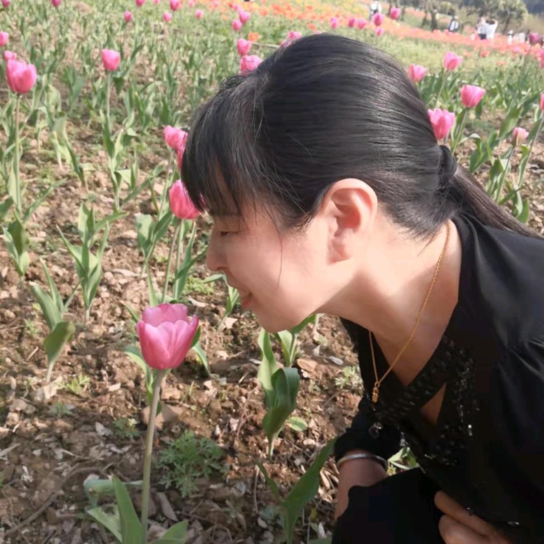 蔡蔡