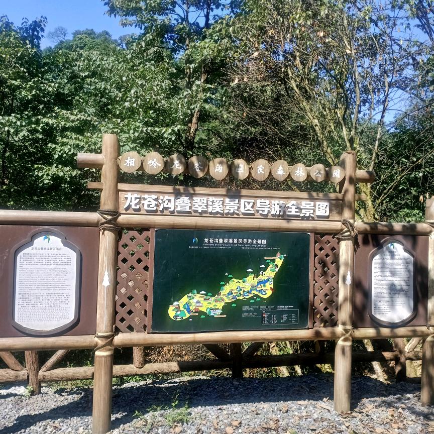 真诚