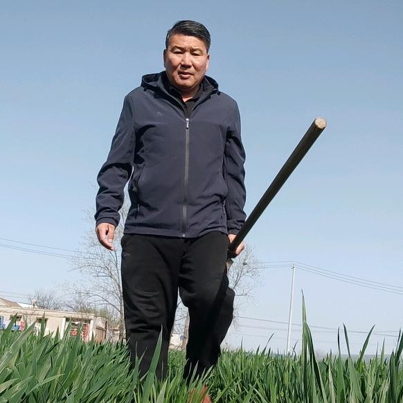 毕庄，老毕