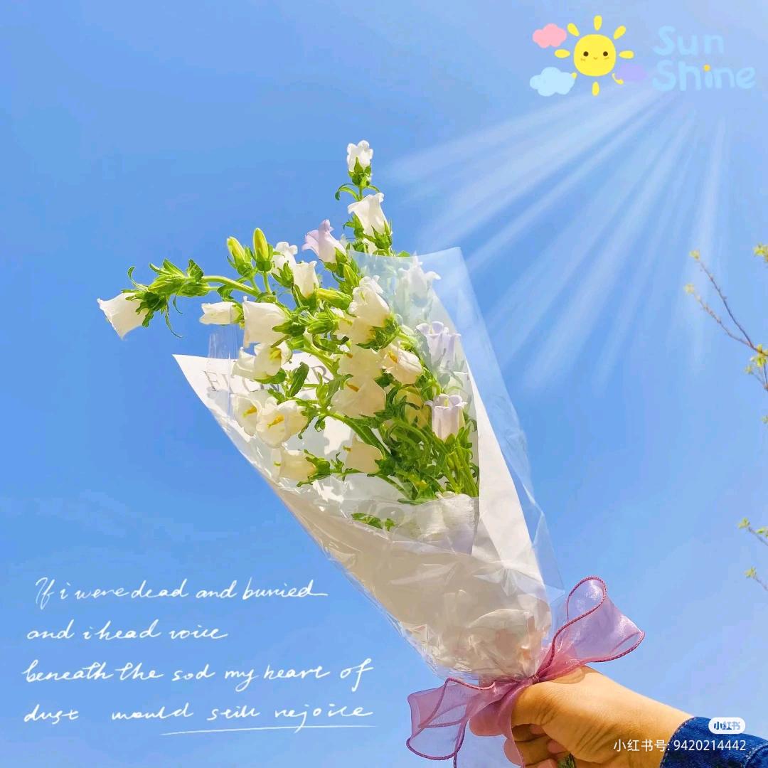 金梯财税_陈小姐