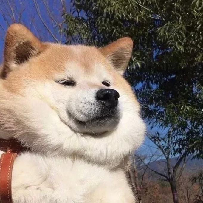 LIU.