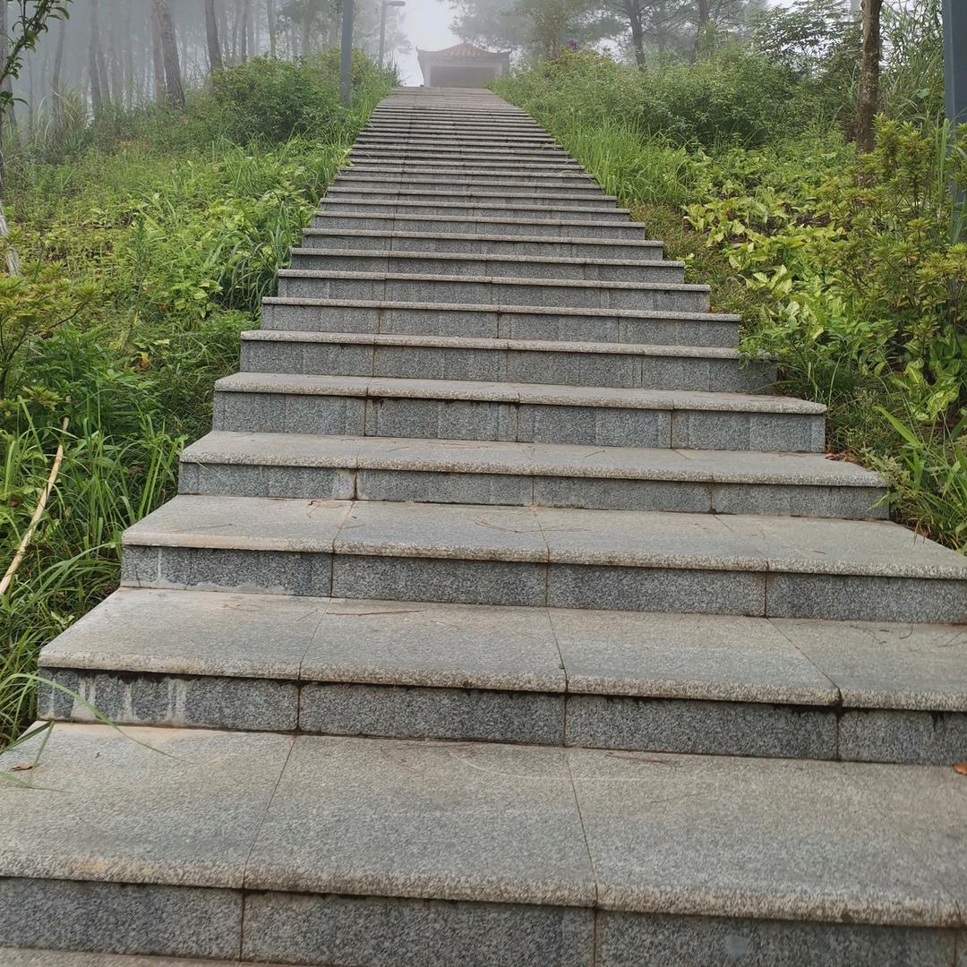 谨记青春🍀