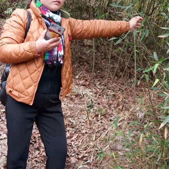 平靜