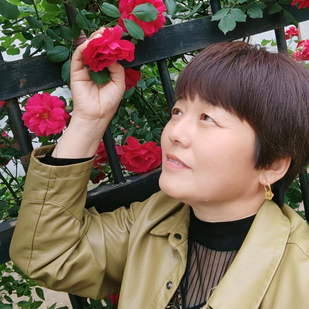 谷中百合