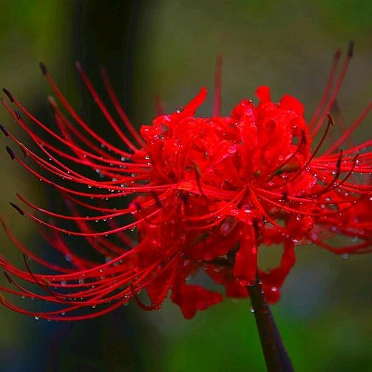 用户2411816881373红