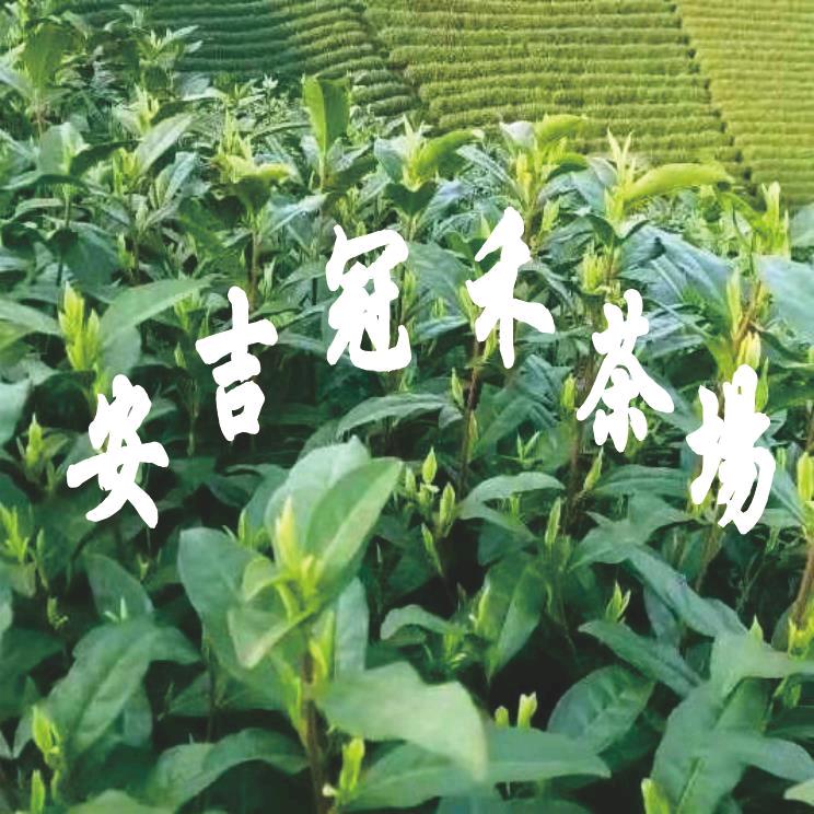 friend（安吉冠禾茶场）