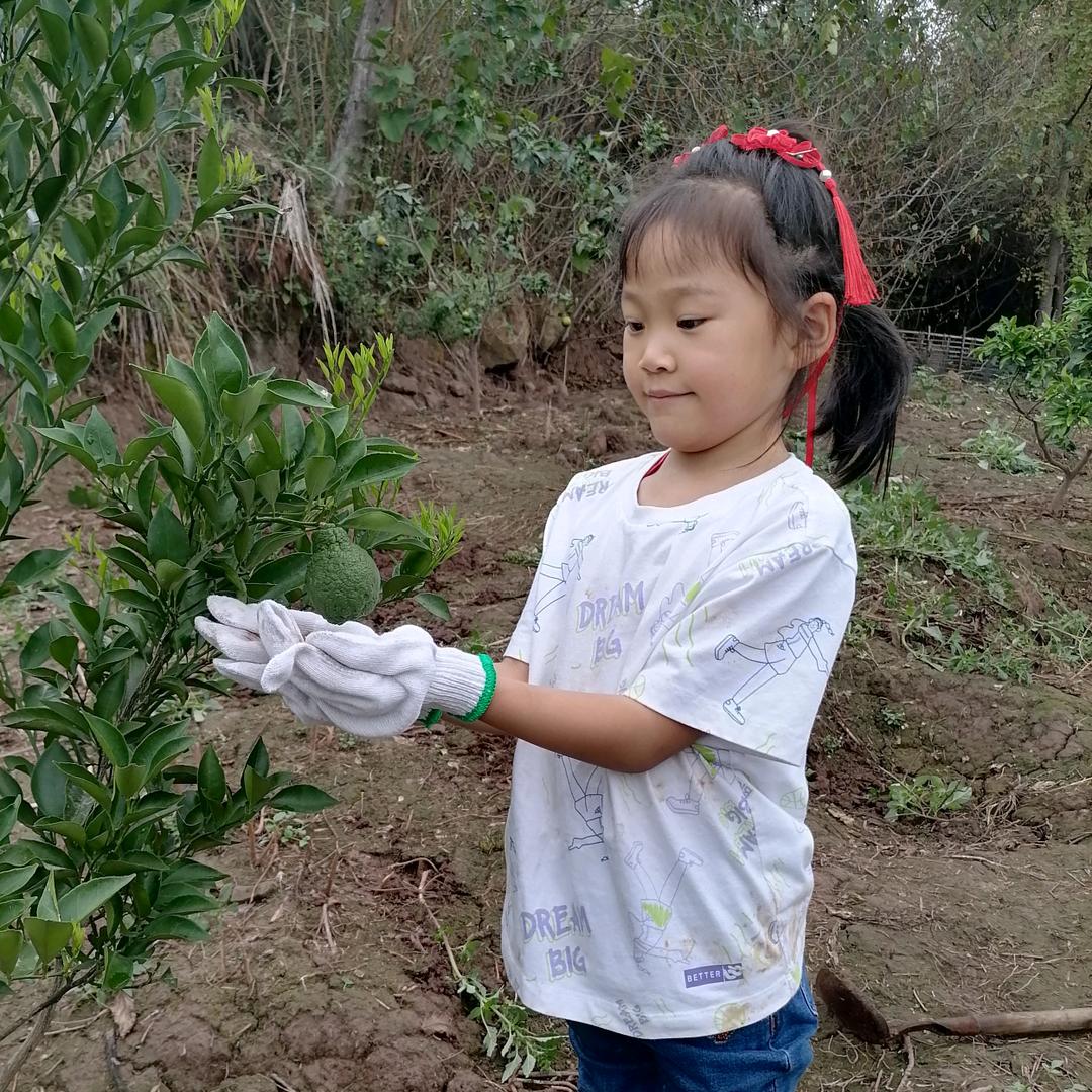 梦想成真（朵朵）
