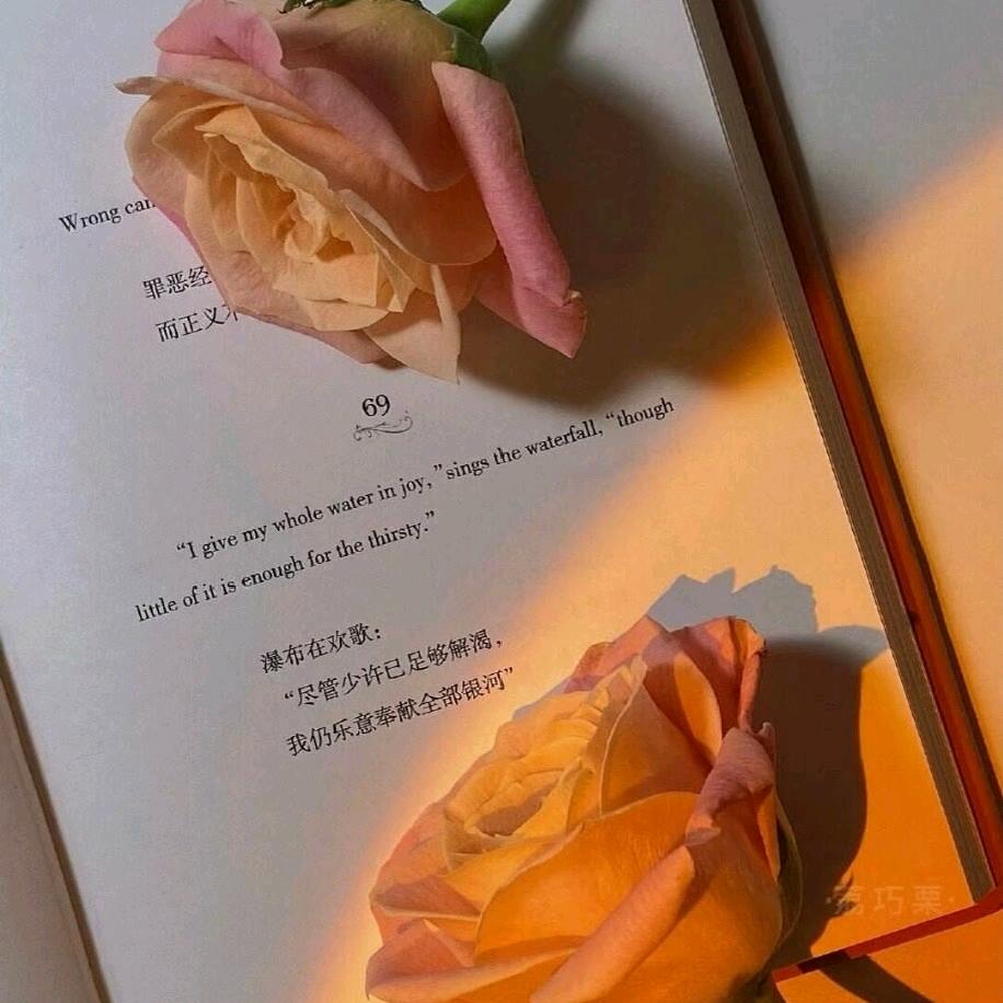 讲点别的花溪