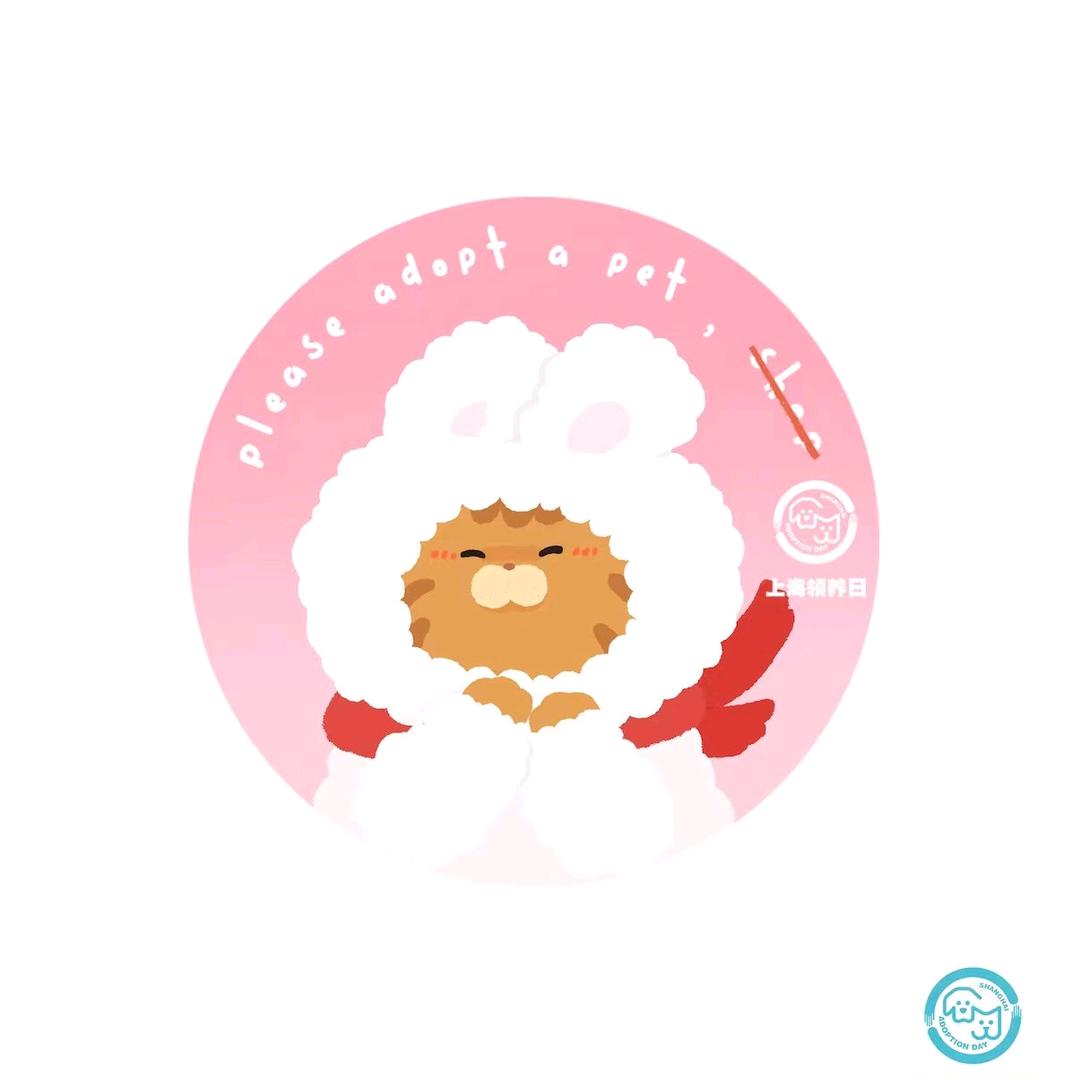 上海领养日