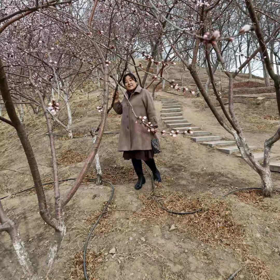 无瑕的透明