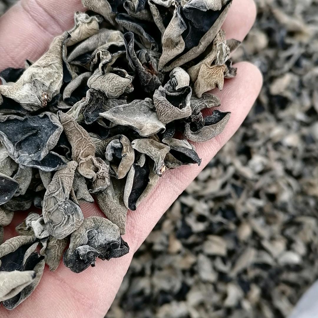 用户9319494670220