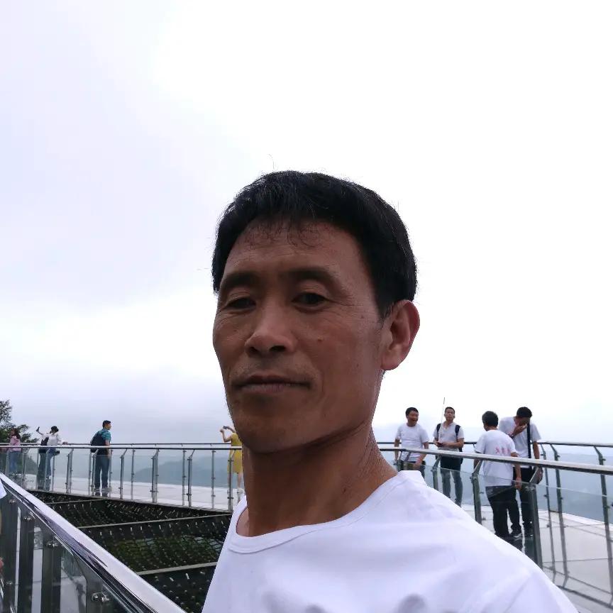 专收红高梁