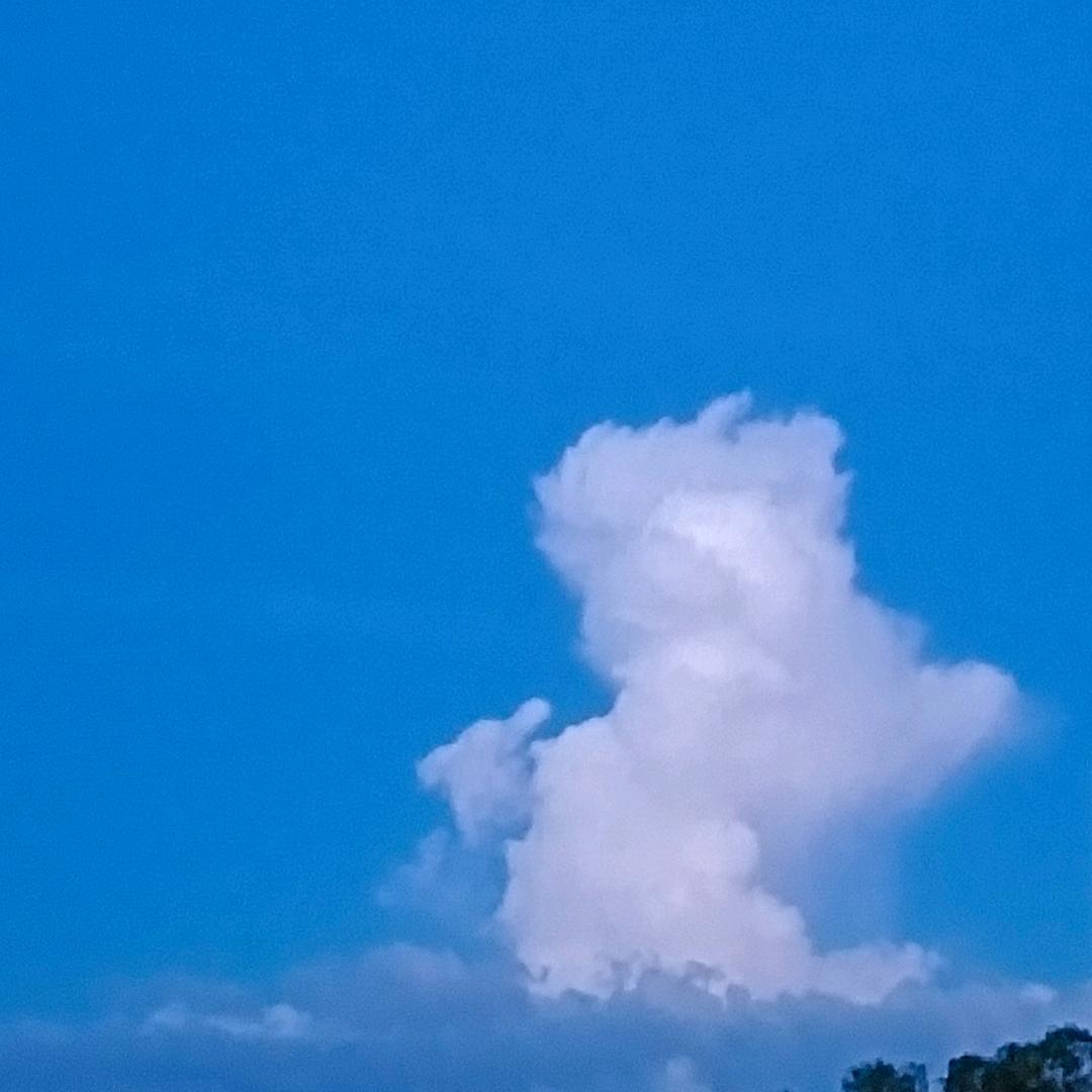 活着的日子