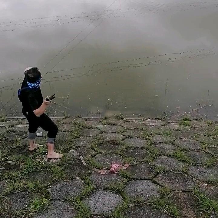 逐浪归隐
