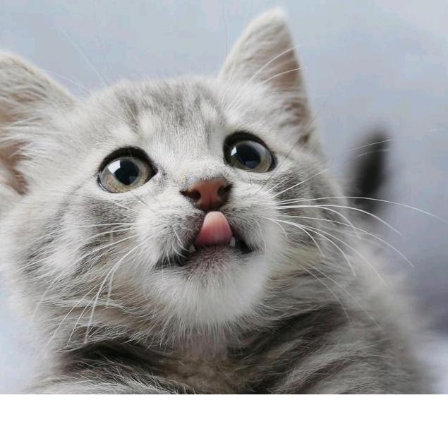 贵溪市丽丝服装店