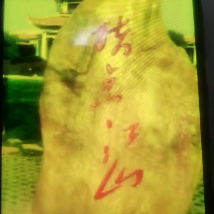 阳光Qx乚
